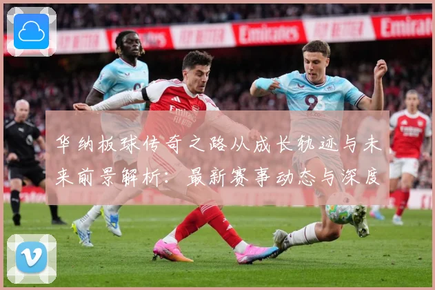 华纳板球传奇之路从成长轨迹与未来前景解析：最新赛事动态与深度分析